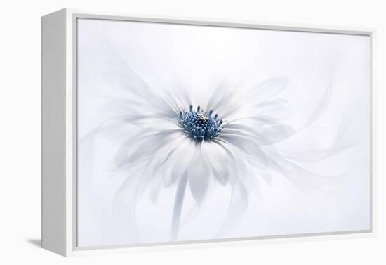 Serenity-Jacky Parker-Framed Premier Image Canvas