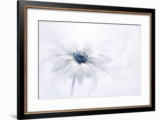 Serenity-Jacky Parker-Framed Premium Photographic Print