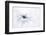 Serenity-Jacky Parker-Framed Premium Photographic Print