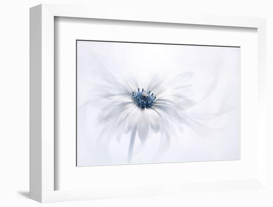 Serenity-Jacky Parker-Framed Premium Photographic Print