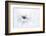 Serenity-Jacky Parker-Framed Premium Photographic Print