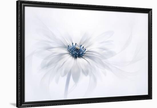 Serenity-Jacky Parker-Framed Photographic Print