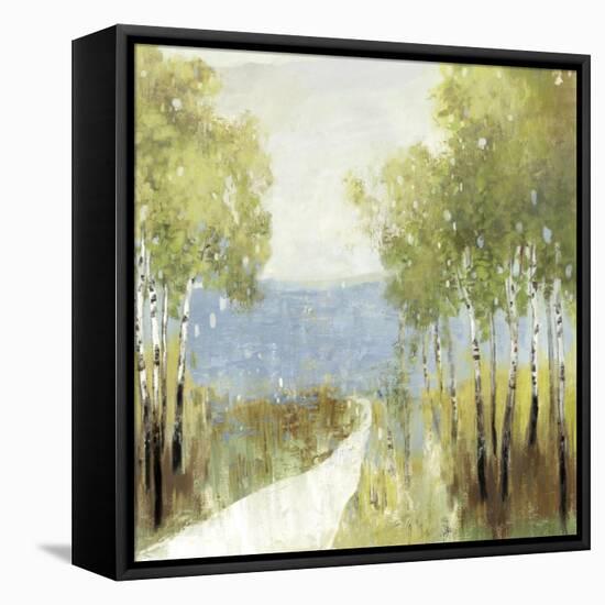 Serenity-Allison Pearce-Framed Stretched Canvas