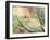 Serenity-Wyanne-Framed Giclee Print