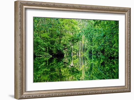 Serenity-Bruce Nawrocke-Framed Art Print