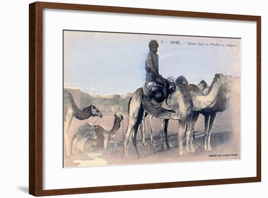 Serere, the Sahel, Senegal, 20th Century-Albaret-Framed Giclee Print