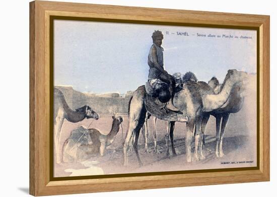 Serere, the Sahel, Senegal, 20th Century-Albaret-Framed Premier Image Canvas