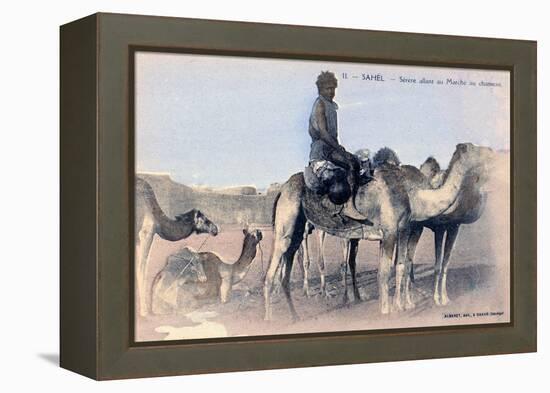 Serere, the Sahel, Senegal, 20th Century-Albaret-Framed Premier Image Canvas