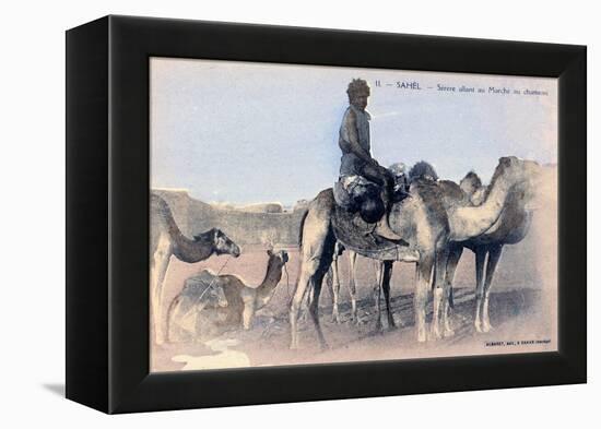 Serere, the Sahel, Senegal, 20th Century-Albaret-Framed Premier Image Canvas