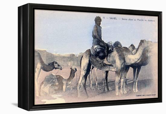 Serere, the Sahel, Senegal, 20th Century-Albaret-Framed Premier Image Canvas