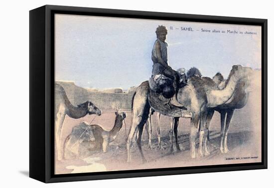 Serere, the Sahel, Senegal, 20th Century-Albaret-Framed Premier Image Canvas