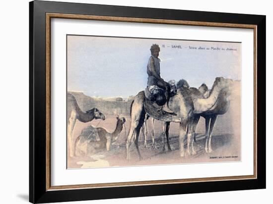 Serere, the Sahel, Senegal, 20th Century-Albaret-Framed Giclee Print