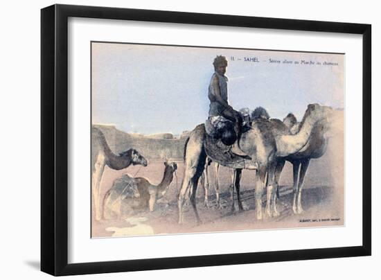 Serere, the Sahel, Senegal, 20th Century-Albaret-Framed Giclee Print