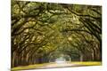 Photographic Print