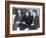 Sergei Prokofiev, Dmitri Shostakovich and Aram Khachaturian, Russian Composers, 1945-null-Framed Giclee Print