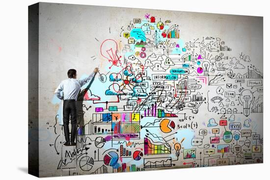 Stretched Canvas Print, , large