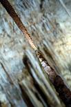 Stalactite Stalagmite Cavern-sergey02-Framed Premier Image Canvas