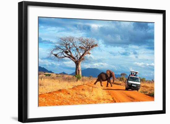 Photographic Print, , large