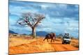 Photographic Print