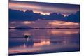 Photographic Print