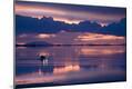 Photographic Print