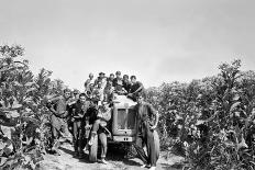 Boys on a Tractor on a Tobacco Field-Sergio del Grande-Photographic Print