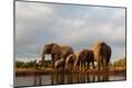Photographic Print