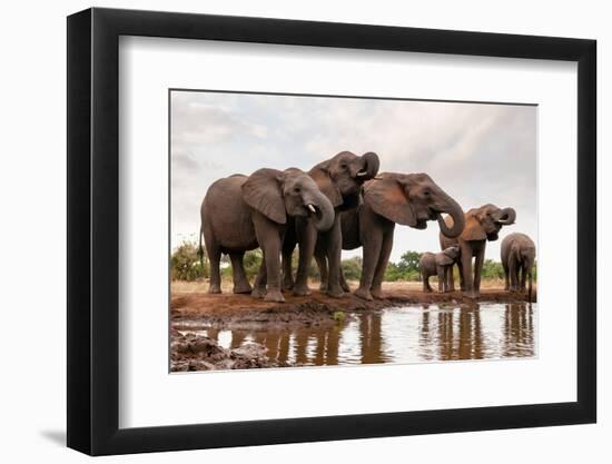 Photographic Print, , large