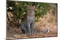 Photographic Print