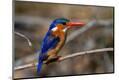 Photographic Print