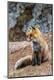 Photographic Print