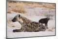 Photographic Print
