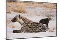 Photographic Print