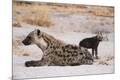 Photographic Print