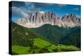 Stretched Canvas Print