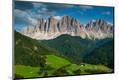 Photographic Print