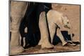 Premium Photographic Print