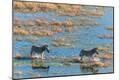 Photographic Print