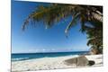Premium Photographic Print
