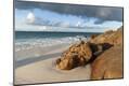 Photographic Print
