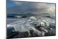 Photographic Print