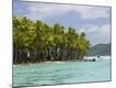 Premium Photographic Print