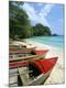 Photographic Print