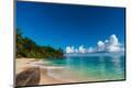 Photographic Print