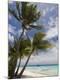 Premium Photographic Print