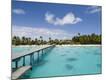 Premium Photographic Print