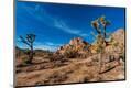 Photographic Print