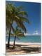 Premium Photographic Print