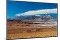 Photographic Print