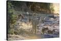 Stretched Canvas Print
